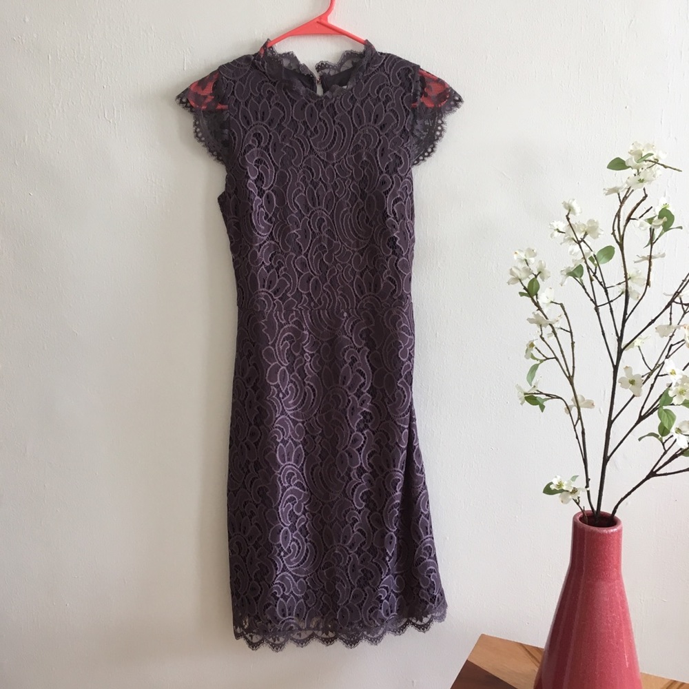 Elegant Lace Dress